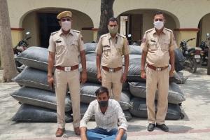 जोधपुर में 544 किलो अवैध डोडा पोस्त बरामद, एक आरोपी गिरफ्तार