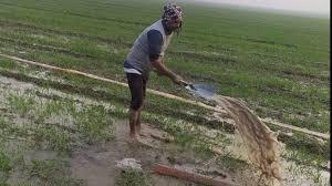 उप्र में कृषि क्षेत्र के लिए जनसंवाद एवं विचार-मंथन सत्र का होगा आयोजन