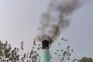 ग्राम दीदाहेडी में प्रतिबंधित ईंधन से कोल्हू संचालन, छह पर जुर्माने की सिफारिश