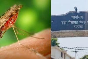 मच्छरों की बढ़ती तादात, एंटी लार्वा का नहीं हुआ छिड़काव