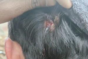 सूरजपुर गांव में विद्युत नोडल अधिकारी के साथ मारपीट, सरकारी दस्तावेज फाड़े