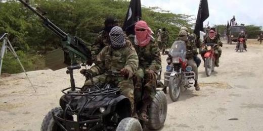 नाइजीरियाई सेना ने झड़पों में 45 डाकुओं को मार गिराया