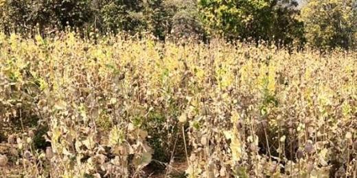 सरकार ने गेहूं, धान की खरीद में आढ़तियों, सहकारी समितियों का कमीशन बढ़ाया